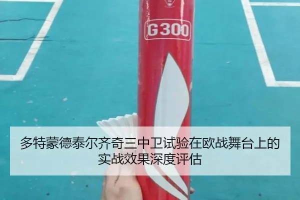 多特蒙德泰尔齐奇三中卫试验在欧战舞台上的实战效果深度评估
