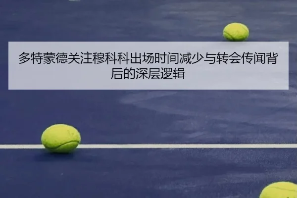 多特蒙德关注穆科科出场时间减少与转会传闻背后的深层逻辑